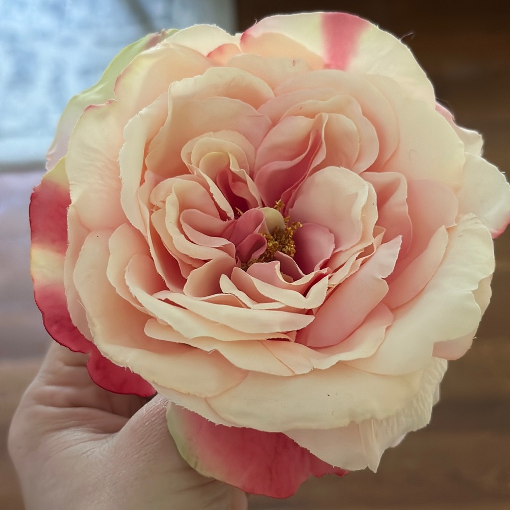 Pale Pink Peach Cream Silk Sophia Rose Brooch Pin.